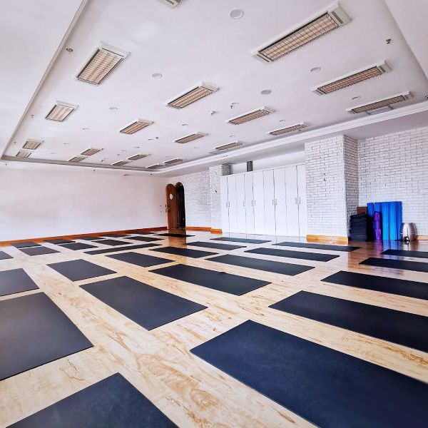 高溫瑜珈操房 專(zhuān)用加熱設(shè)備 曲波型高溫輻射加熱器